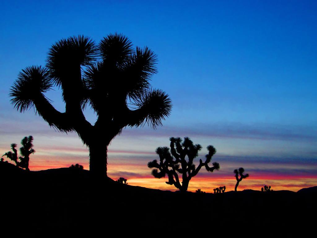 Raintree'S Cimarron Golf Resort Palm Springs Cathedral City Exteriér fotografie